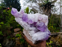Natural Jacaranda Amethyst Geode Specimen x 1 From Zambia