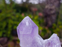 Natural Jacaranda Amethyst Geode Specimen x 1 From Zambia