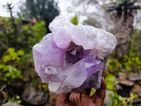 Natural Jacaranda Amethyst Geode Specimen x 1 From Zambia