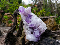 Natural Jacaranda Amethyst Geode Specimen x 1 From Zambia