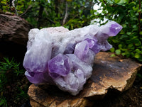Natural Jacaranda Amethyst Geode Specimen x 1 From Zambia