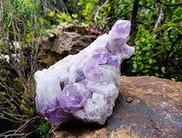 Natural Jacaranda Amethyst Geode Specimen x 1 From Zambia