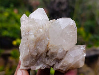 Natural Phantom Smokey Quartz Clusters x 6 From Luena, Congo