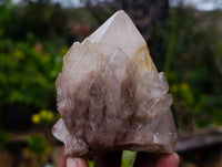 Natural Phantom Smokey Quartz Clusters x 6 From Luena, Congo