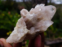 Natural Phantom Smokey Quartz Clusters x 6 From Luena, Congo