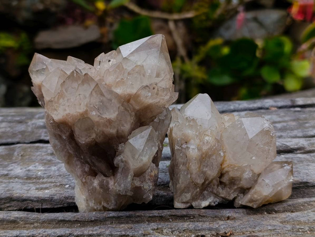 Natural Phantom Smokey Quartz Clusters x 6 From Luena, Congo - Toprock Gemstones and Minerals 