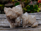 Natural Phantom Smokey Quartz Clusters x 6 From Luena, Congo - Toprock Gemstones and Minerals 