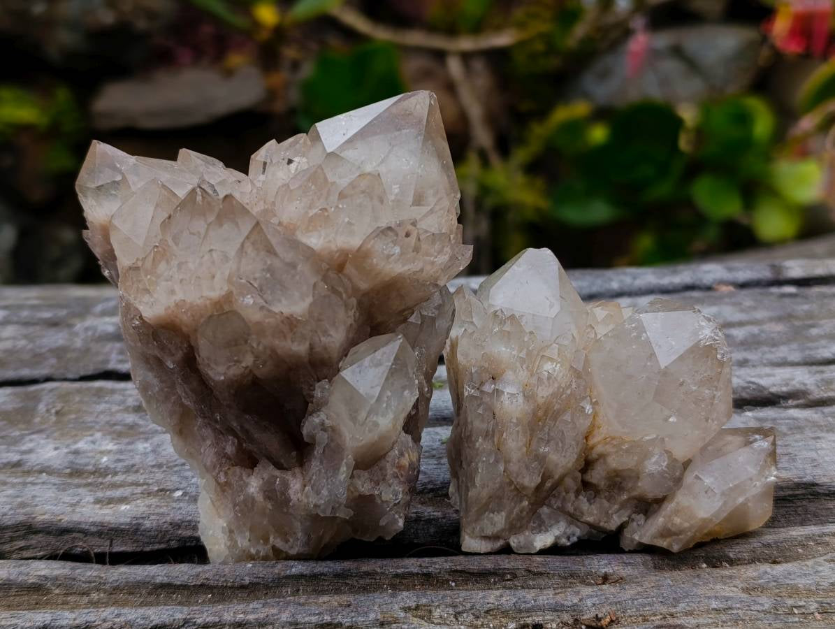 Natural Phantom Smokey Quartz Clusters x 6 From Luena, Congo - Toprock Gemstones and Minerals 