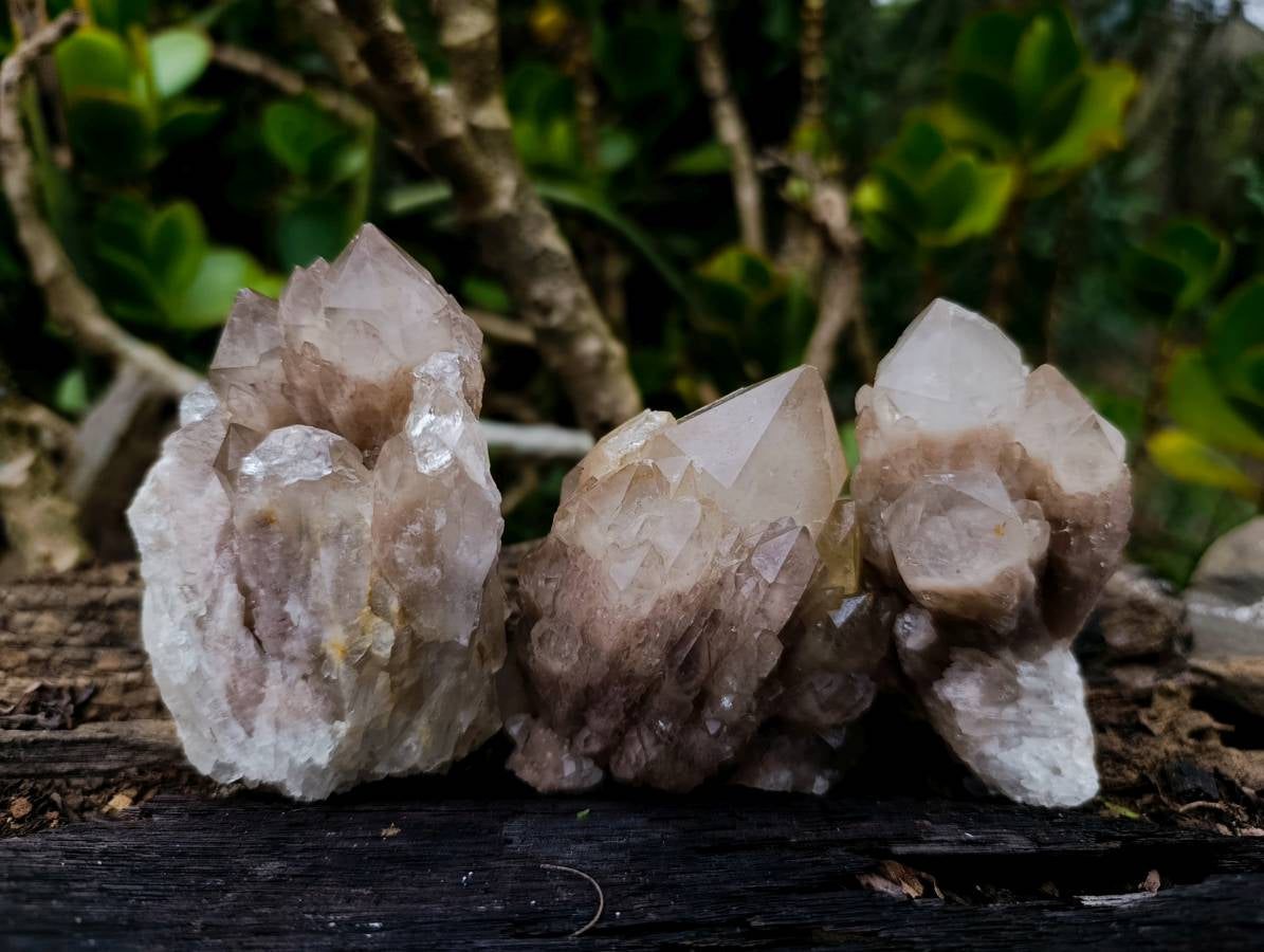 Natural Phantom Smokey Quartz Clusters x 6 From Luena, Congo - Toprock Gemstones and Minerals 