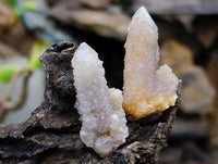 Natural Spirit Quartz Crystal x 70 From Boekenhouthoek, South Africa