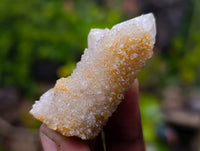 Natural Spirit Quartz Crystal x 70 From Boekenhouthoek, South Africa