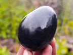 Polished Black Basalt Eggs x 6 From Madagascar - Toprock Gemstones and Minerals 