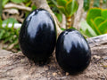 Polished Black Basalt Eggs x 6 From Madagascar - Toprock Gemstones and Minerals 