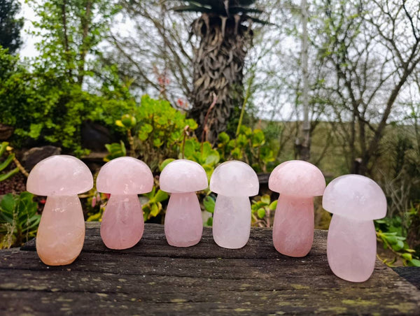 Polished Rose Quartz Mushrooms x 6 Madagascar