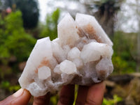 Natural Limonite Spirit Quartz Clusters x 6 From Boekenhouthoek, South Africa