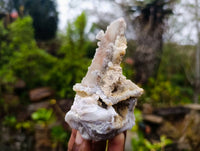 Natural Limonite Spirit Quartz Clusters x 6 From Boekenhouthoek, South Africa