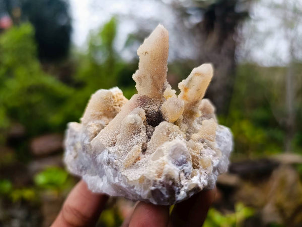 Natural Limonite Spirit Quartz Clusters x 6 From Boekenhouthoek, South Africa