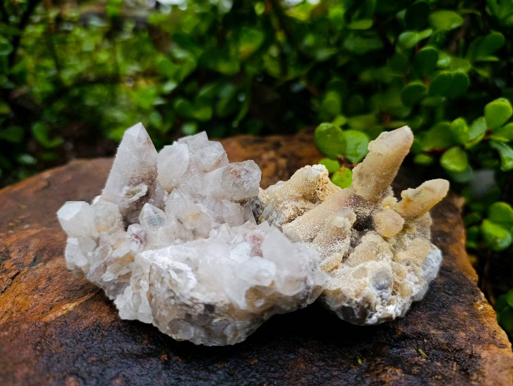Natural Limonite Spirit Quartz Clusters x 6 From Boekenhouthoek, South Africa - Toprock Gemstones and Minerals 