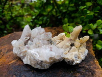 Natural Limonite Spirit Quartz Clusters x 6 From Boekenhouthoek, South Africa