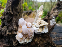 Natural Limonite Spirit Quartz Clusters x 6 From Boekenhouthoek, South Africa