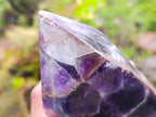 Polished Chevron Amethyst Crystal x 1 From Zambia - Toprock Gemstones and Minerals 