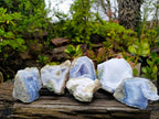 Natural Blue Lace Agate Geode Specimens x 6 From Malawi - Toprock Gemstones and Minerals 