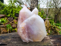 Polished Triple Point Girasol Rose Quartz Standing Free Form x 1 Madagascar