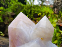 Polished Triple Point Girasol Rose Quartz Standing Free Form x 1 Madagascar