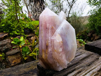 Polished Triple Point Girasol Rose Quartz Standing Free Form x 1 Madagascar