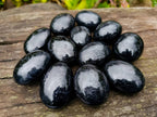 Polished Black Tourmaline Palm Stones x 12 From Madagascar - Toprock Gemstones and Minerals 