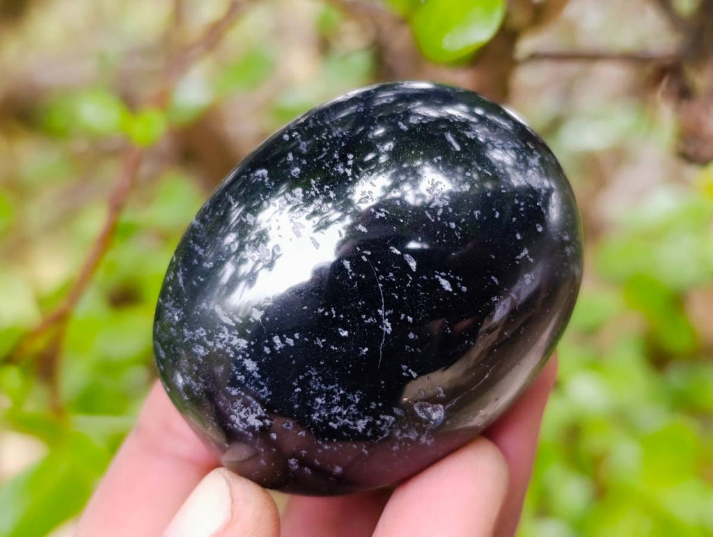 Polished Black Tourmaline Palm Stones x 12 From Madagascar - Toprock Gemstones and Minerals 