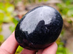 Polished Black Tourmaline Palm Stones x 12 From Madagascar - Toprock Gemstones and Minerals 