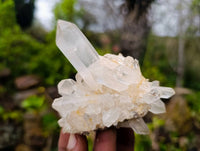 Natural Clear Quartz Clusters x 6 From Madagascar