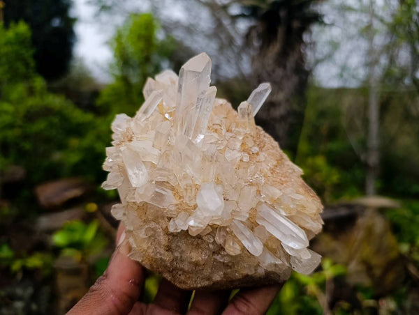 Natural Clear Quartz Clusters x 6 From Madagascar