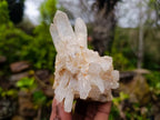 Natural Clear Quartz Clusters x 6 From Madagascar - Toprock Gemstones and Minerals 