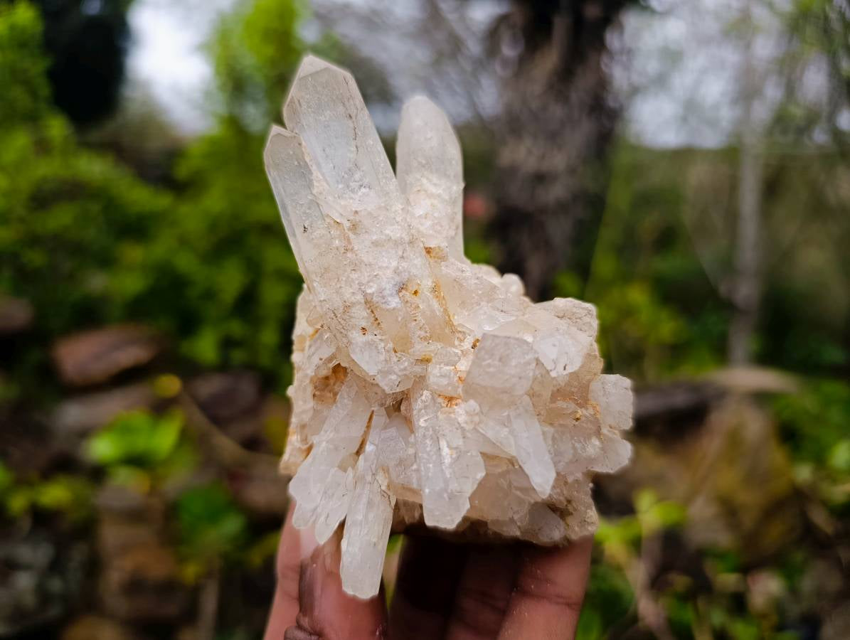Natural Clear Quartz Clusters x 6 From Madagascar - Toprock Gemstones and Minerals 