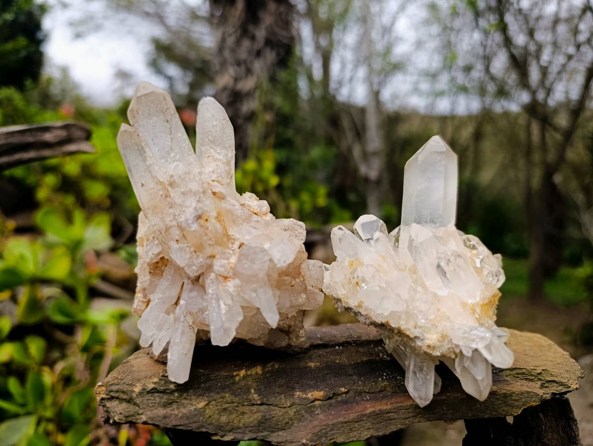 Natural Clear Quartz Clusters x 6 From Madagascar - Toprock Gemstones and Minerals 
