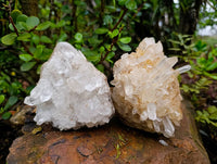 Natural Clear Quartz Clusters x 6 From Madagascar