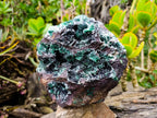 Natural Ball Malachite On Dolomite Matrix Specimen x 1 From Kambove, Congo - Toprock Gemstones and Minerals 