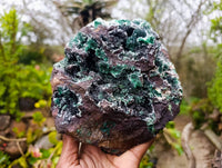 Natural Ball Malachite On Dolomite Matrix Specimen x 1 From Kambove, Congo
