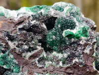 Natural Ball Malachite On Dolomite Matrix Specimen x 1 From Kambove, Congo