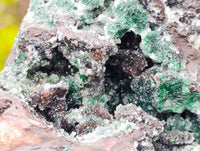 Natural Ball Malachite On Dolomite Matrix Specimen x 1 From Kambove, Congo