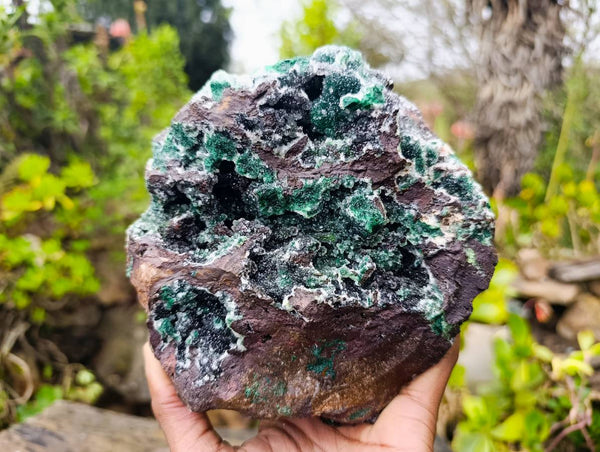Natural Ball Malachite On Dolomite Matrix Specimen x 1 From Kambove, Congo
