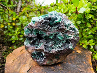 Natural Ball Malachite On Dolomite Matrix Specimen x 1 From Kambove, Congo