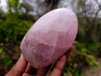 Polished Rose Quartz Standing Free Forms x 2 Madagascar - Toprock Gemstones and Minerals 