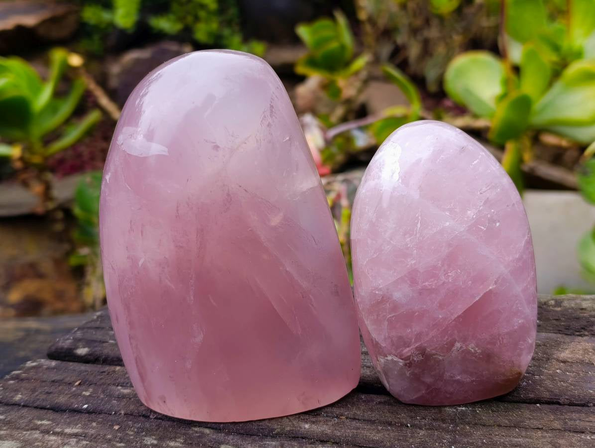 Polished Rose Quartz Standing Free Forms x 2 Madagascar - Toprock Gemstones and Minerals 