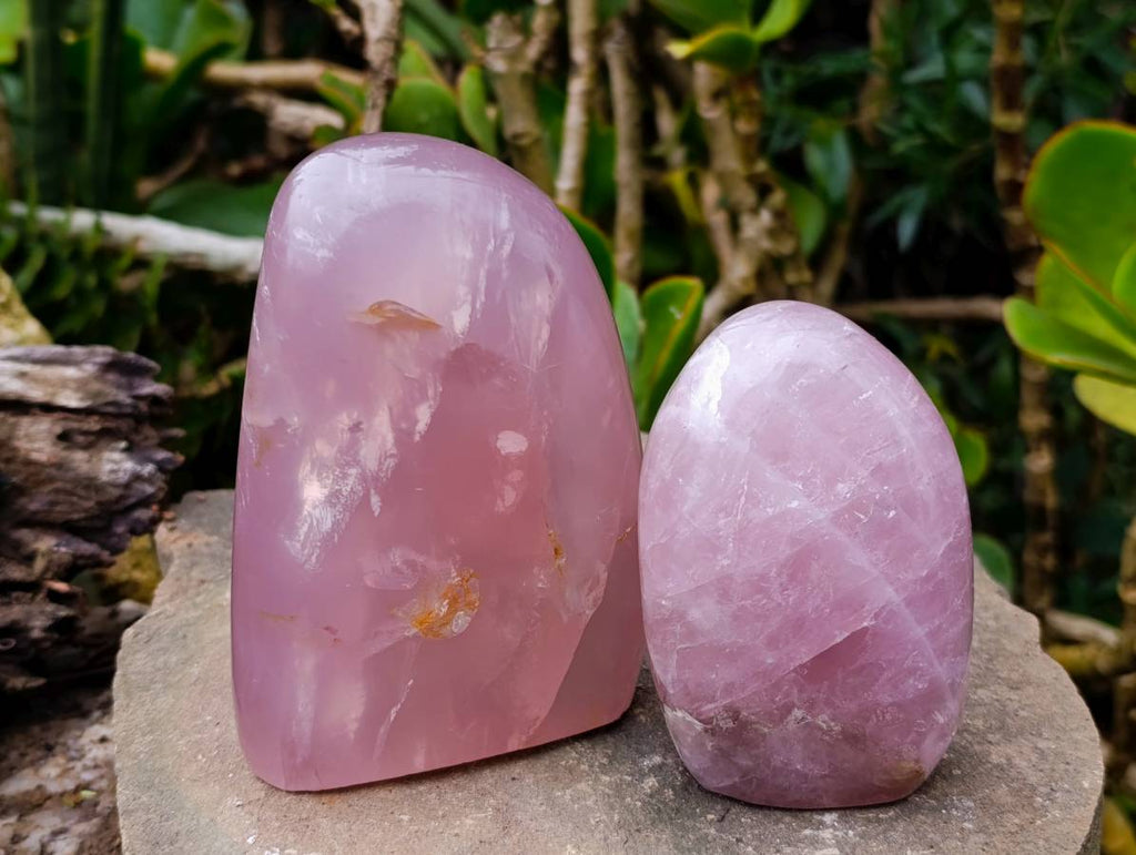 Polished Rose Quartz Standing Free Forms x 2 Madagascar - Toprock Gemstones and Minerals 