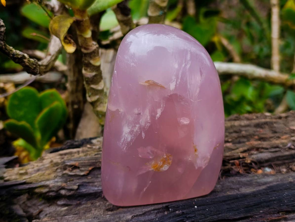 Polished Rose Quartz Standing Free Forms x 2 Madagascar - Toprock Gemstones and Minerals 