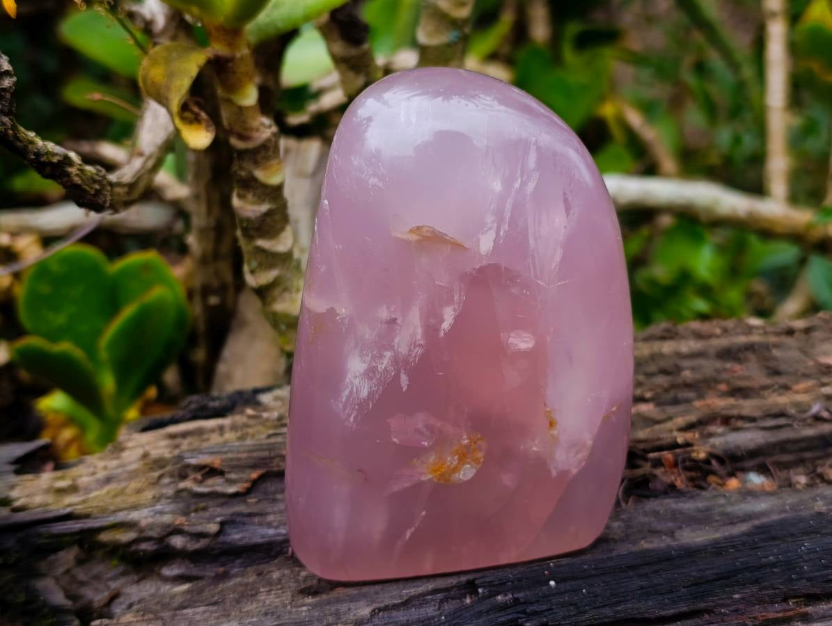 Polished Rose Quartz Standing Free Forms x 2 Madagascar - Toprock Gemstones and Minerals 