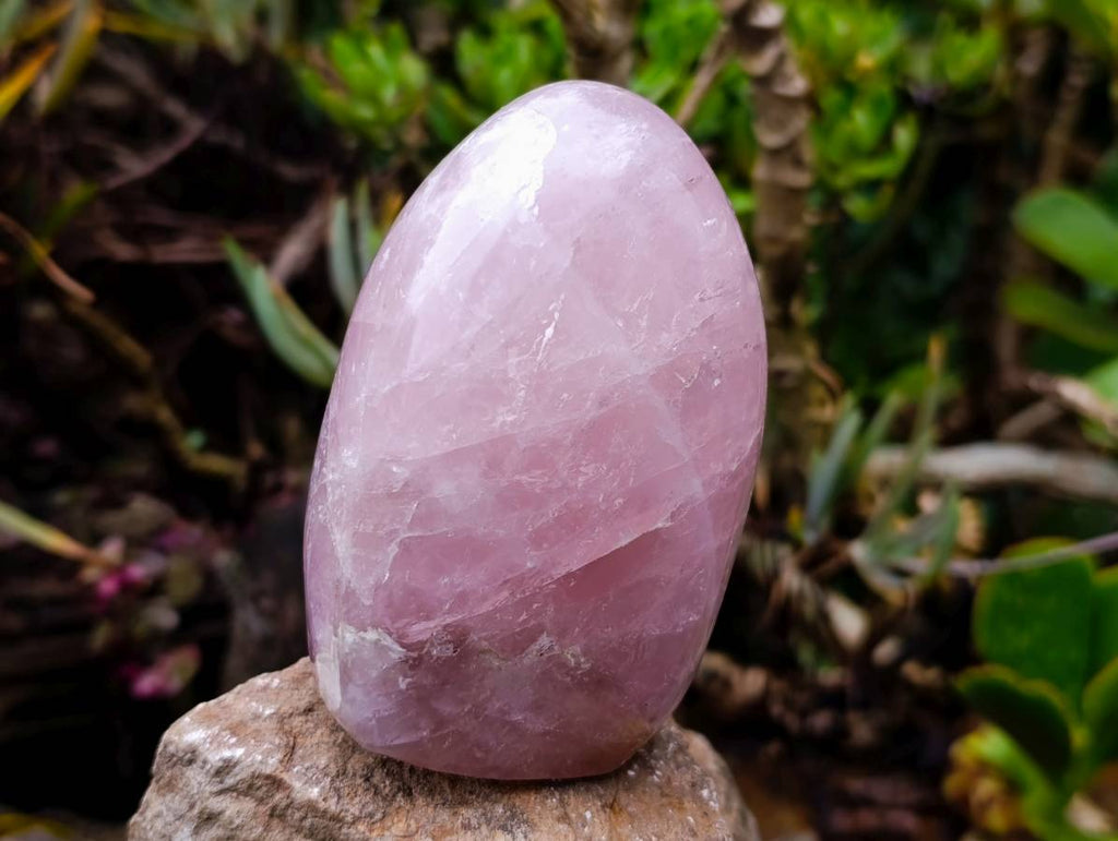 Polished Rose Quartz Standing Free Forms x 2 Madagascar - Toprock Gemstones and Minerals 